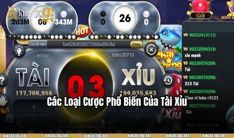 Các loại cược có trong trò này